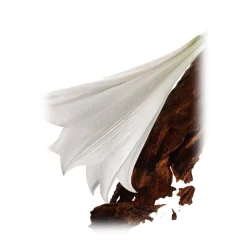 Yves Saint Laurent - Mon Paris Eau De Parfum - A New Feminine Fragrance, Inspired by Paris, The City of Love - Luxury - 150 ml - Avvenice