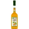 Zanin 1895 - Golmar - Melon Liquor - Made in Italy - 25 % vol. - Spirit of Excellence - Avvenice